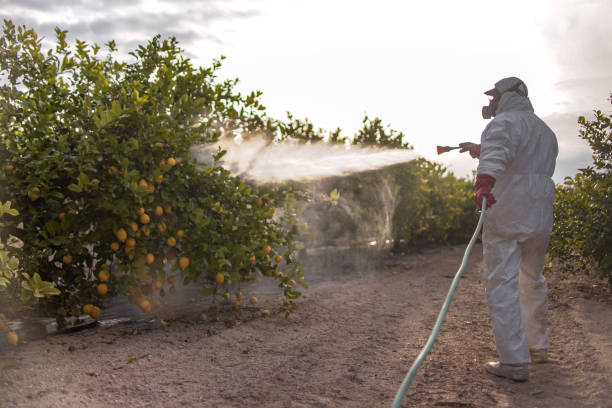 Best Residential Pest Control  in Duboistown, PA