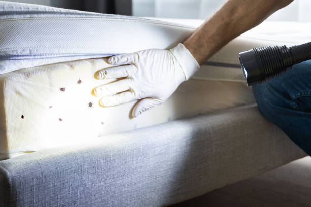 Best Pest Inspection Near Me  in Duboistown, PA