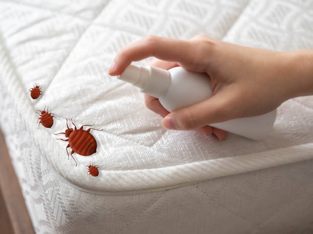 Best Local Pest Control Services  in Duboistown, PA