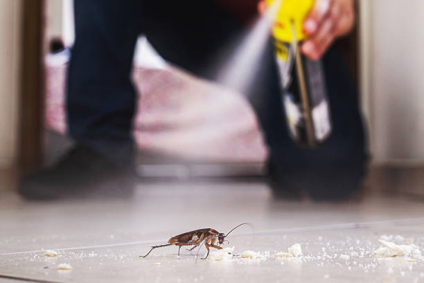 Best Wildlife Control Services  in Duboistown, PA